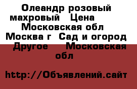 Олеандр розовый махровый › Цена ­ 500 - Московская обл., Москва г. Сад и огород » Другое   . Московская обл.